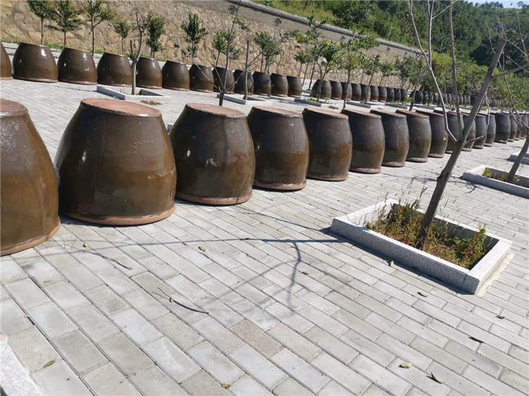 果園風(fēng)光